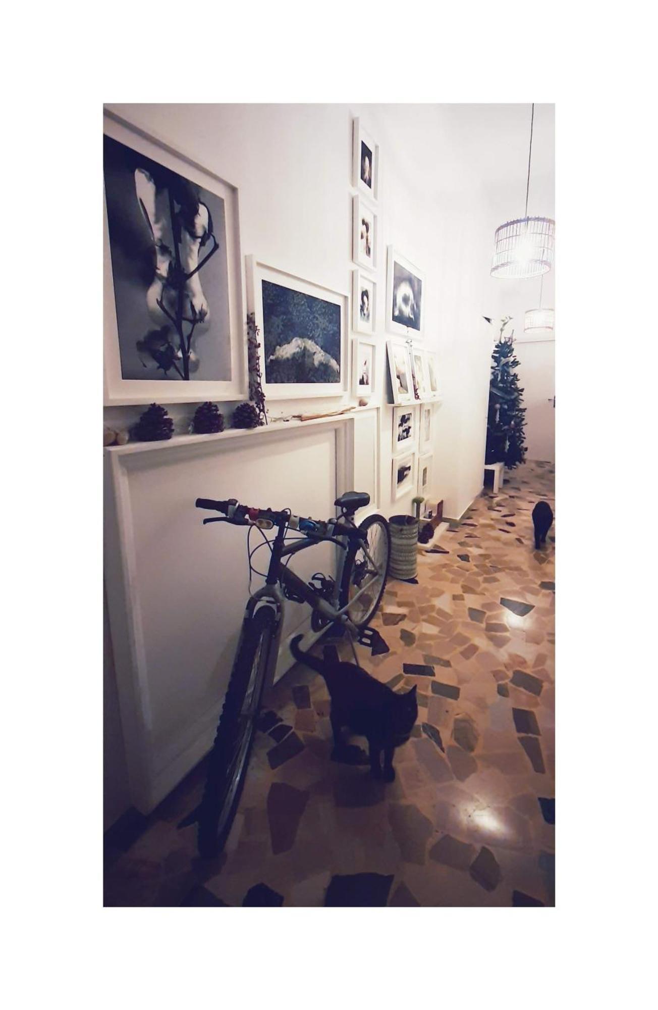 Ab Ovo Bed & Breakfast